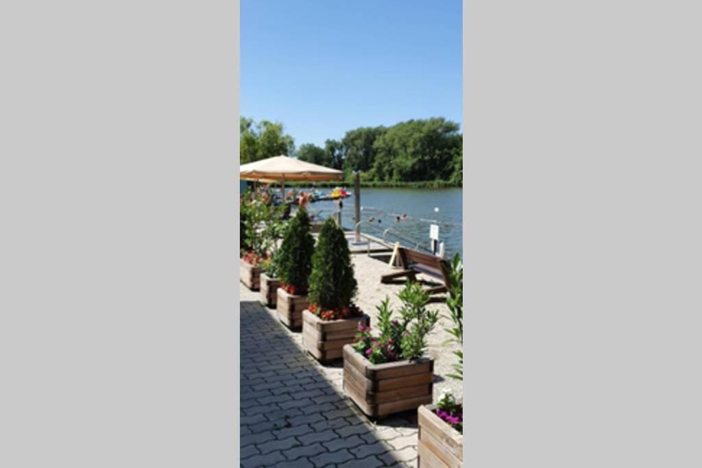Villa Éva Háza Nyugalom/Pihenés/Relax Sopron Exterior foto